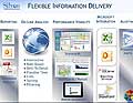 Flexible Information Delivery