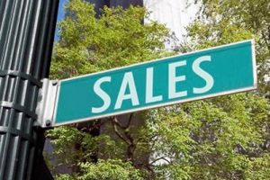 Using Business Intelligence to Identify New Sales Opportunities