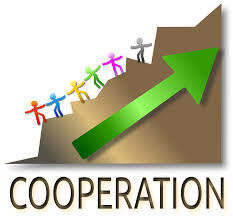 cooperate