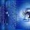 How Data Hubs Foster Better Business Visibility