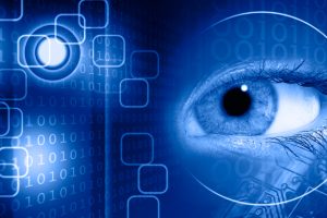 How Data Hubs Foster Better Business Visibility